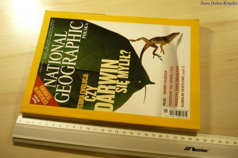 NATIONAL GEOGRAPHIC POLSKA NR 11 (62) LISTOP 2004