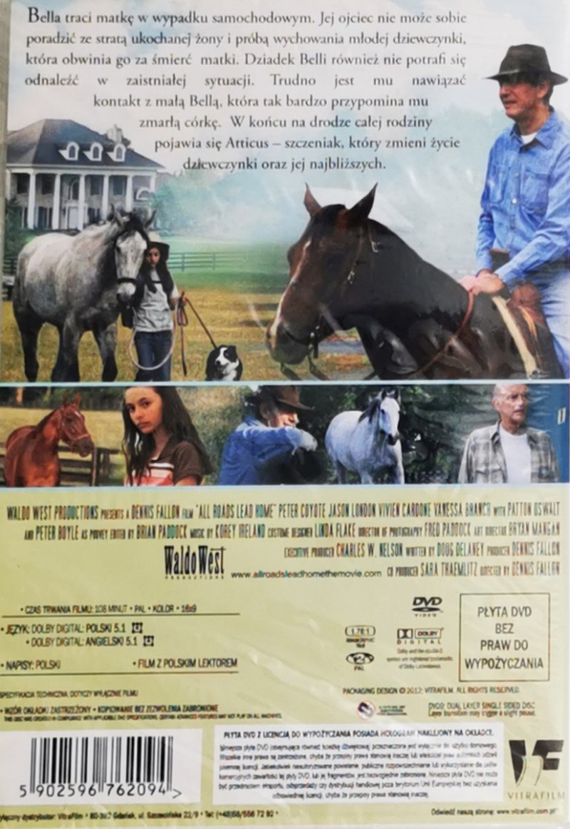 DVD. WSZYSTKIE DROGI PROWADZĄ DO DOMU