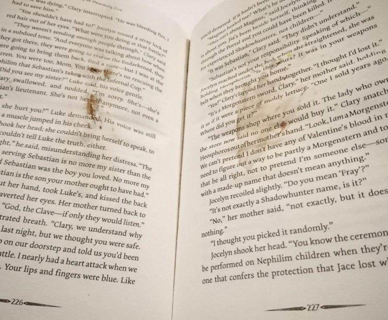 CITY OF HEAVENLY FIRE - Cassandra Clare 2014