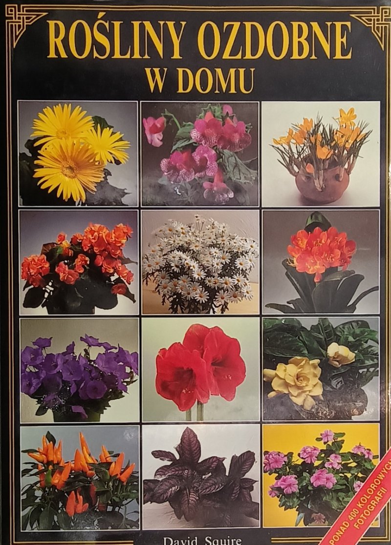 ROŚLINY OZDOBNE W DOMU - David Squide