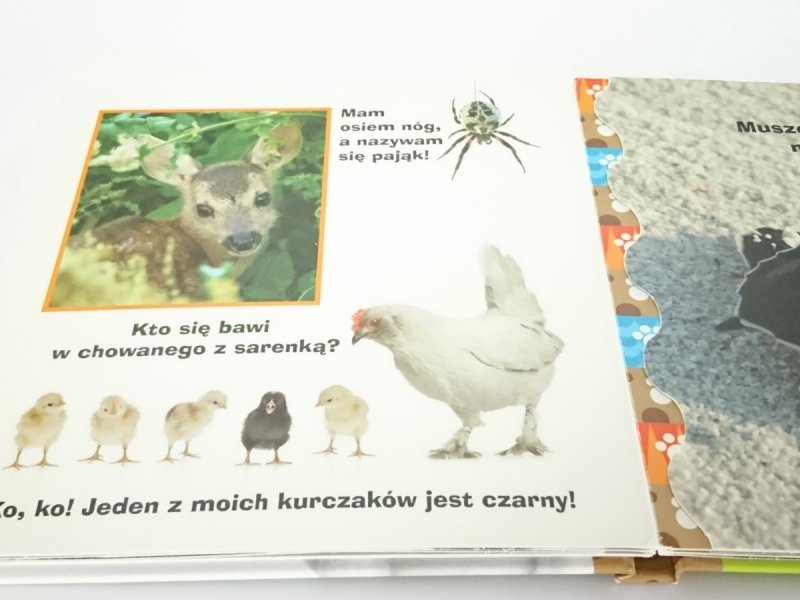 ZWIERZĘTA I ICH RODZINY 2011