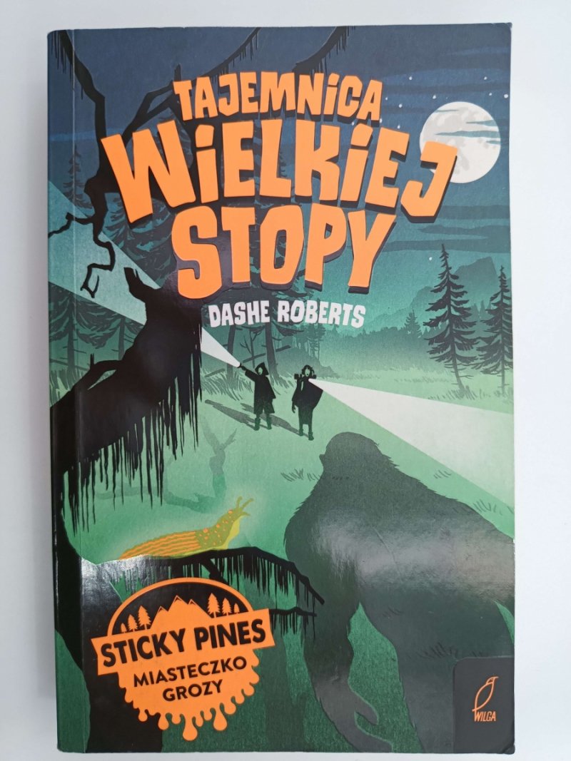 TAJEMNICA WIELKIEJ STOPY - Dashe Roberts