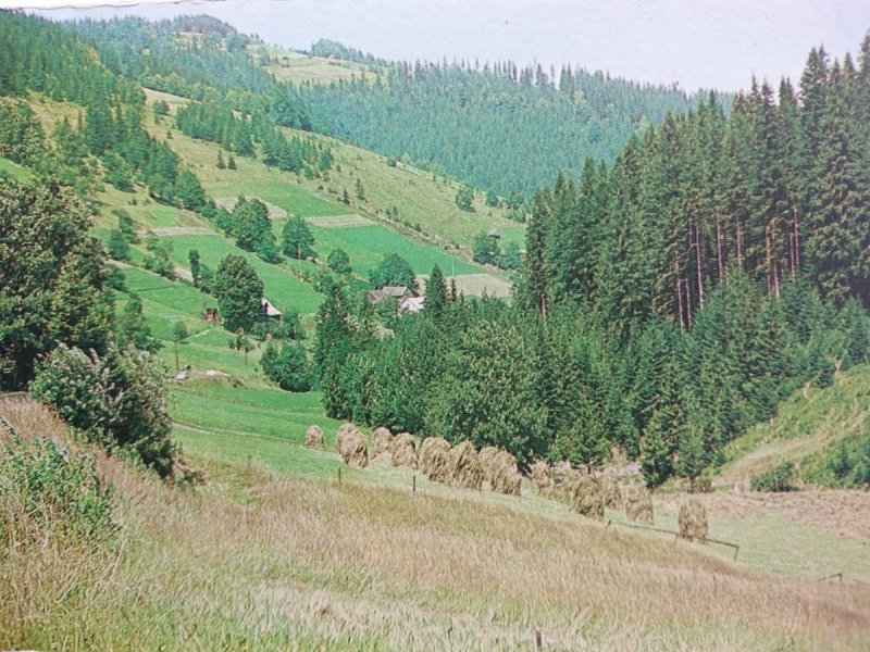 BESKID ŚLĄSKI. KRAJOBRAZ FOT. J. JASTRZĘBSKI