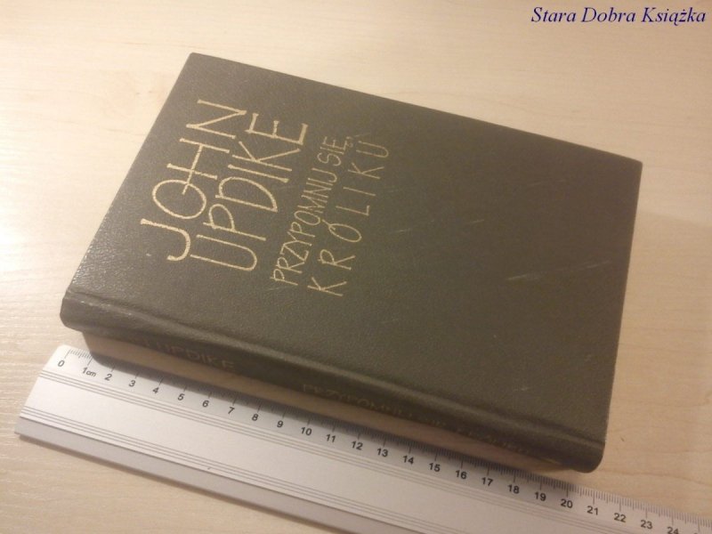 PRZYPOMNIJ SIĘ KRÓLIKU - John Updike