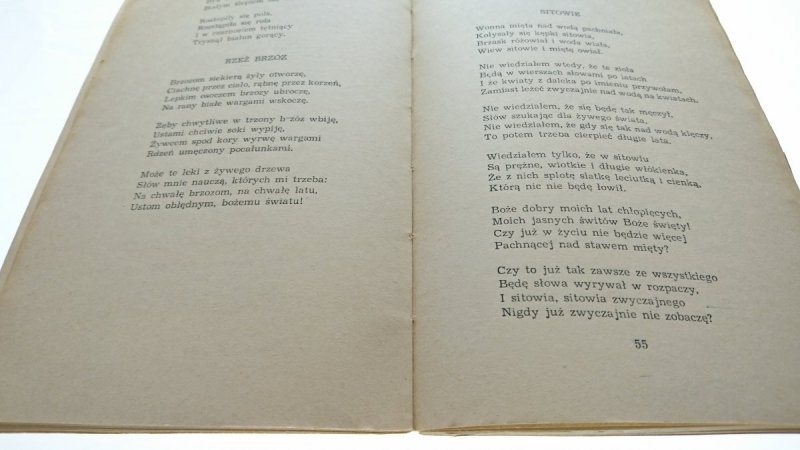 WYBÓR POEZJI - Julian Tuwim 1965