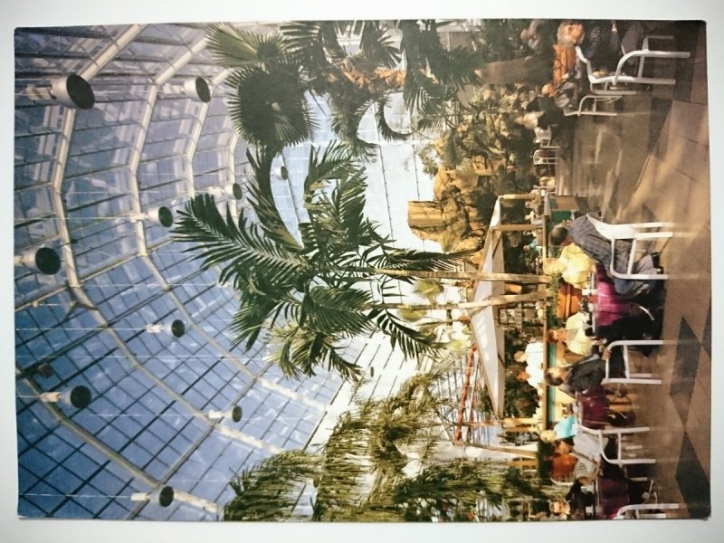 DINGER'S GARTEN CENTER KOLN 