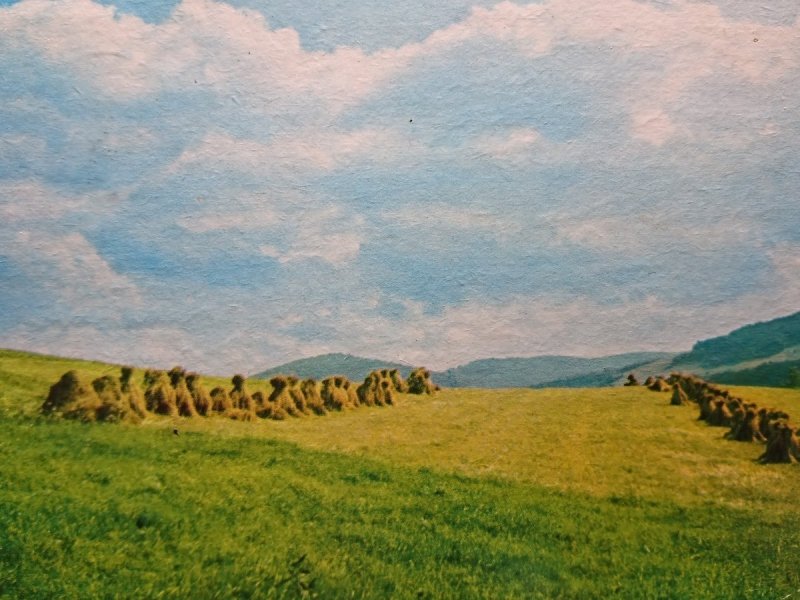 KRAJOBRAZ ZIEMI RZESZOWSKIEJ FOT. M. RACZKOWSKI
