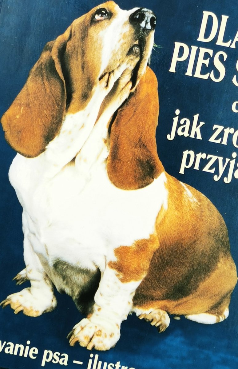 DLACZEGO PIES SZCZEKA CZYLI JAK ZROZUMIEĆ PRZYJACIELA - Desmond Morris