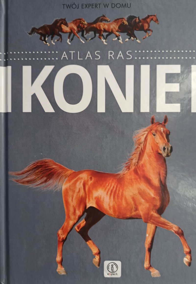 ATLAS RAS. KONIE - Katarzyna Piechocka
