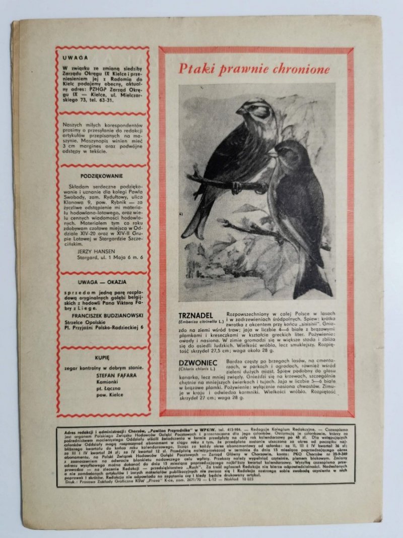 HODOWCA GOŁĘBI POCZTOWYCH NR 8 1970