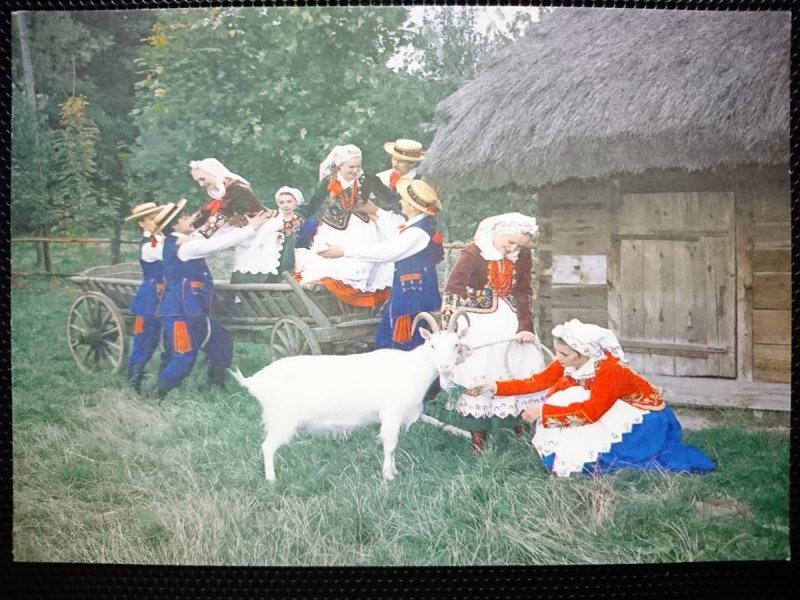 ZESPÓŁ PIEŚNI I TAŃCA ZIEMI LUBELSKIEJ LUBLIN. STROJE RZESZOWSKIE FOT. ŻYBURTOWICZ
