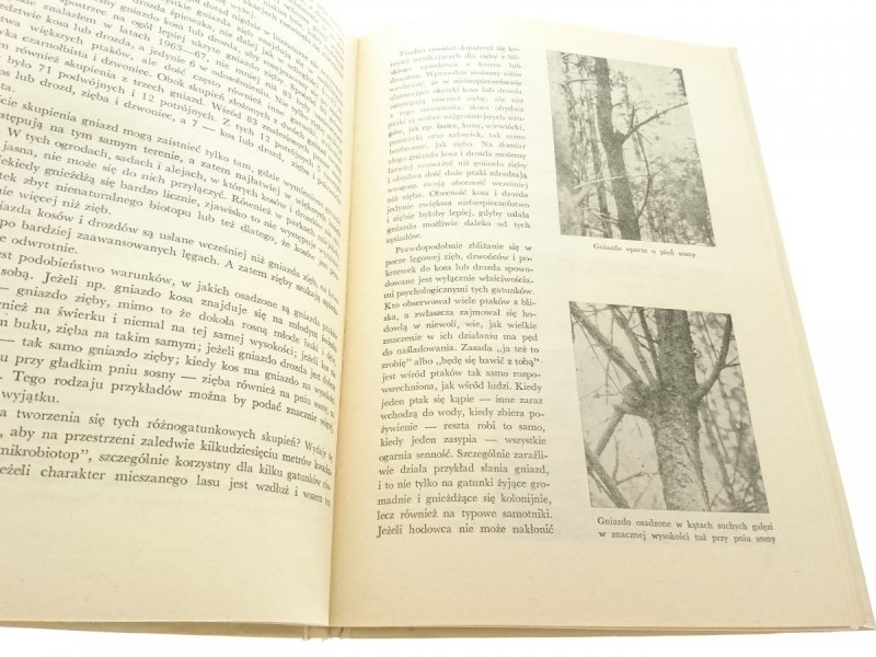 ZIĘBA - Jan Sokołowski 1969