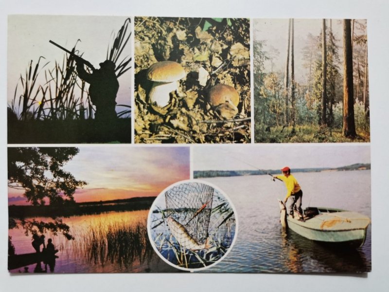 SZEŚĆ UJĘĆ Z NATURY, POLOWANIE, WĘDARSTWO, GRZYBY FOT. ANDRZEJCZYK