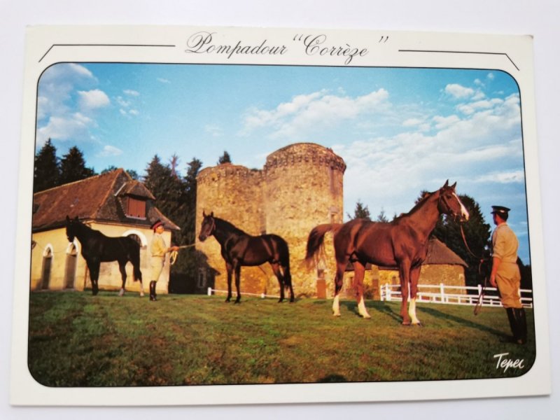 JUMENTERIE DU HARAS NATIONAL
