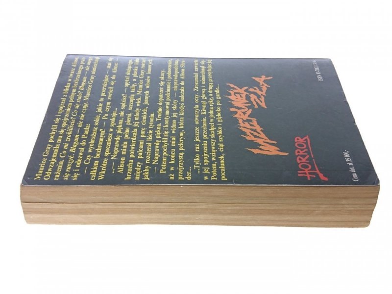 WIZERUNEK ZŁA - Graham Masterton 1993