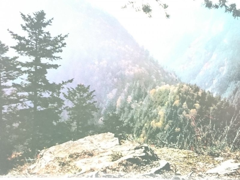 PIENINY WG FOTOGRAFII BARWNEJ T. BILIŃSKIEGO
