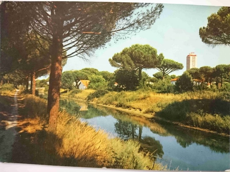 MILANO MARITTIMA. PINETA E CANALETTO