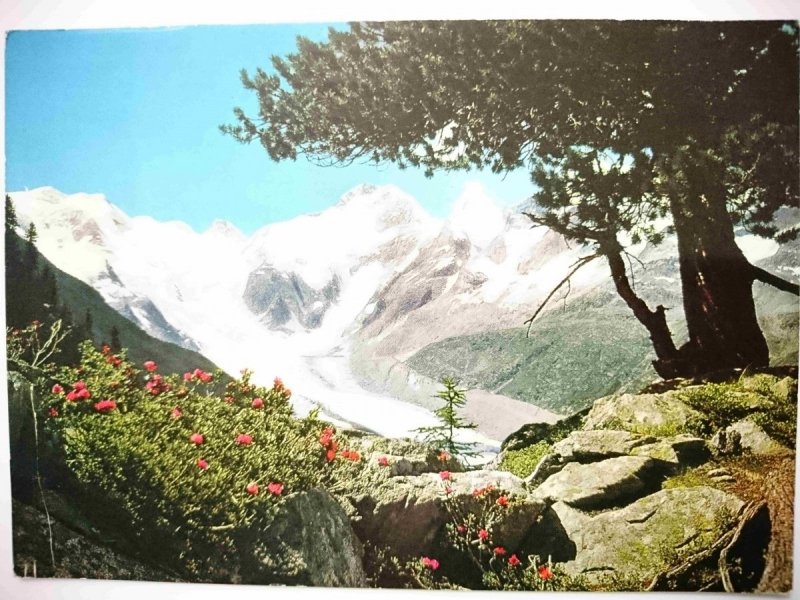 BOVAL, PIZ BERNINA MIT MORTERATSCHGLETSCHER