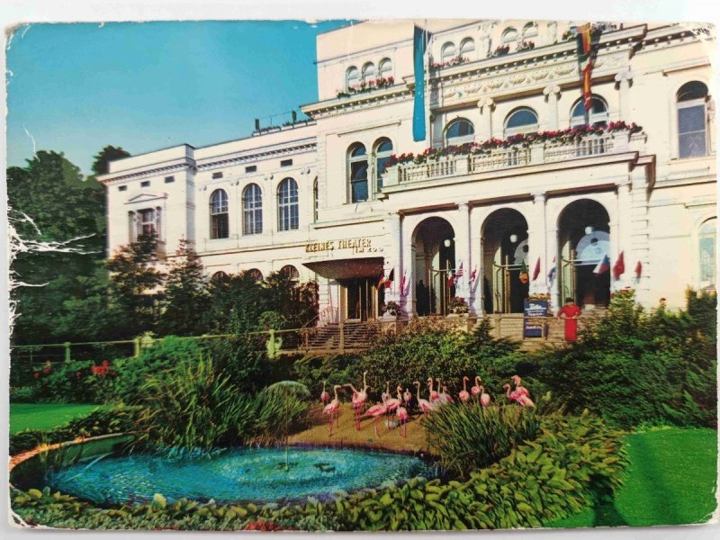 FRANKFURT AM MAIN FLAMINGOS AM ZOO