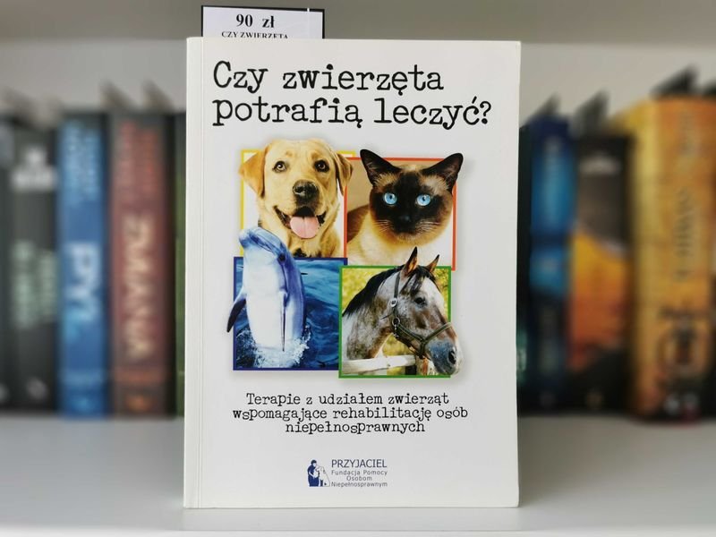 Czy zwierzęta potrafią leczyć? Terapie z udziałem zwierząt