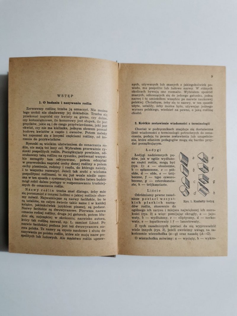 PRZEWODNIK DO OZNACZANIA ROŚLIN - J. Rostafiński 