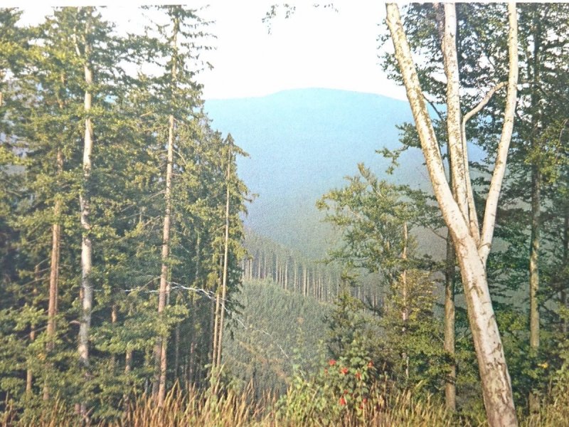 BESKID ŻYWIECKI. KRAJOBRAZ FOT. K. SEKO