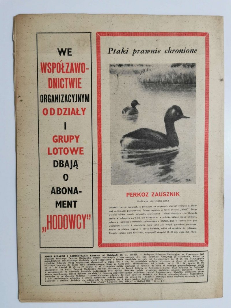 HODOWCA GOŁĘBI POCZTOWYCH NR 10  1967
