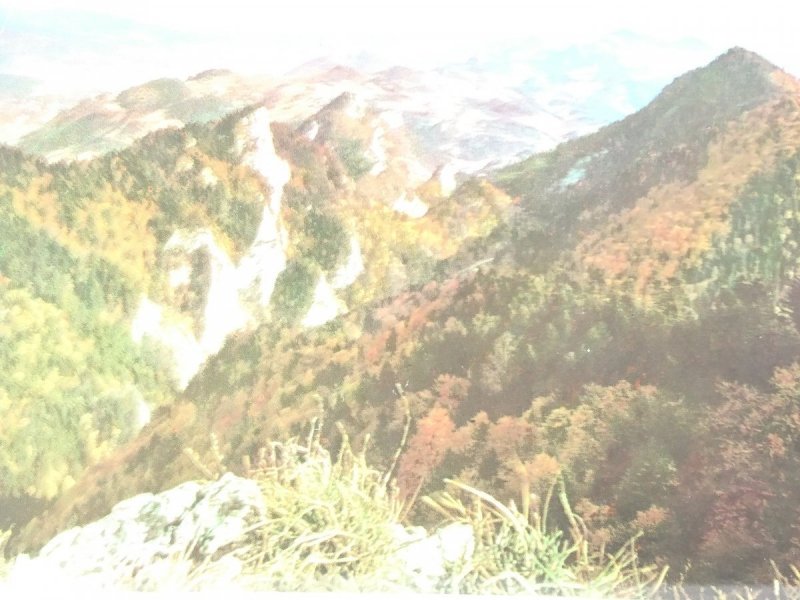 PIENINY. WIDOK Z OSTREGO WIERCHU NA GOLICĘ