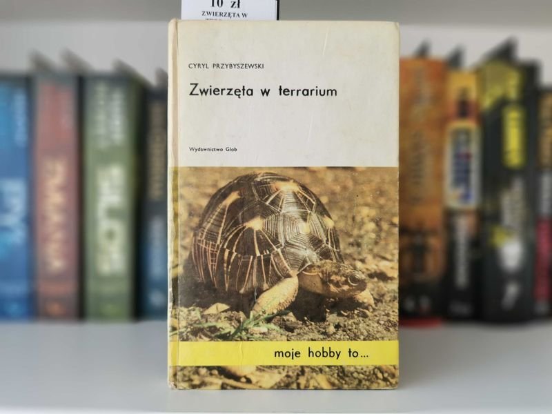 Zwierzęta w terrarium - Cyryl Przybyszewski