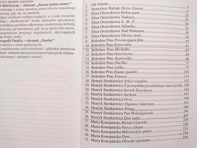 STRESZCZENIA PROBLEMATYKA. POZYTYWIZM - Teresa Nowacka 1998