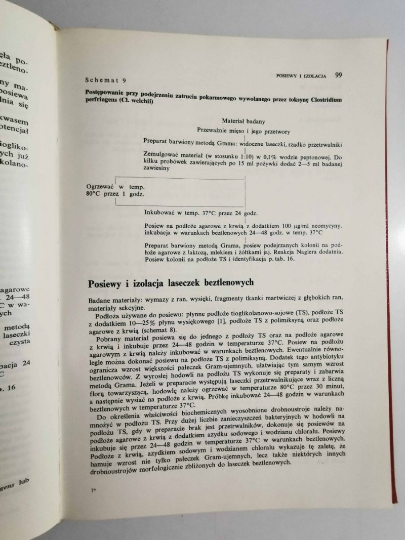 DIAGNOSTYKA MIKROBIOLOGICZNA - prof. dr hab. Wł. Kędzia 1980