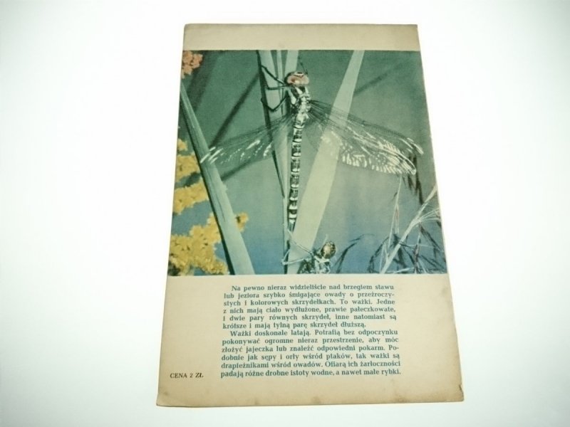 PŁOMYCZEK NR 10 ROK 42 16-31. V. 1963