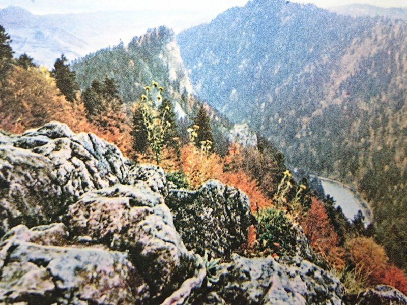 PIENINY. SOKOLICA (747m) FOT. T. BILIŃSKI