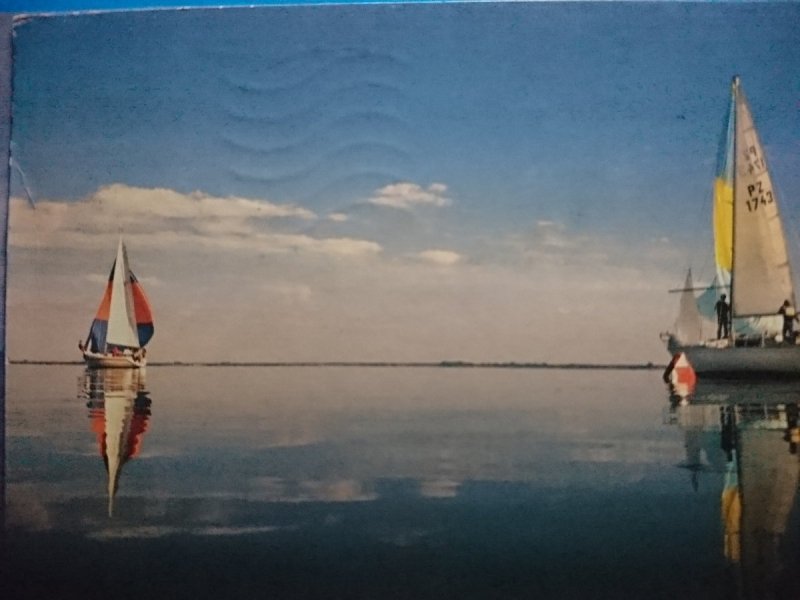 ŻAGŁÓWKI FOT. M. CZASNOJĆ