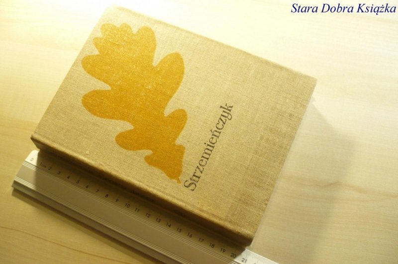 DZIEJE POLSKI. STRZEMIEŃCZYK - Kraszewski 1981