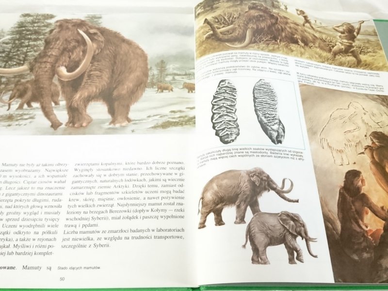 TAJEMNICE ZWIERZĄT. PREHISTORIA - Michel Cuisin 1990