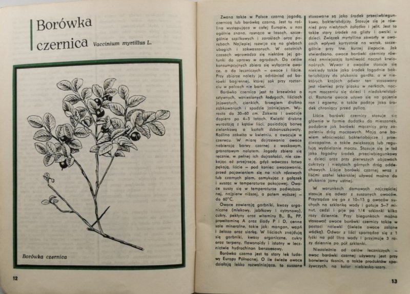 ZIOŁA W DOMU - Danuta Tuszyńska-Kownacka