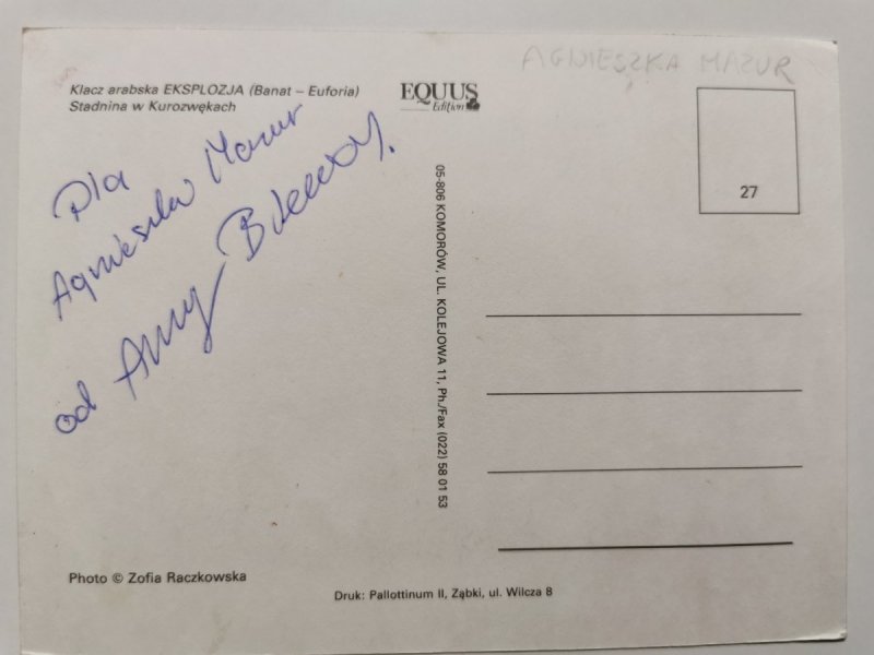 KLACZ ARABSKA EKSPLOZJA (BANAT-EUFORIA) STADNINA W KUROZWĘKACH FOT. RACZKOWSKA
