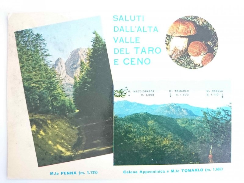 SALUTI DALL’ALTA VALLE DEL TARO E CENO