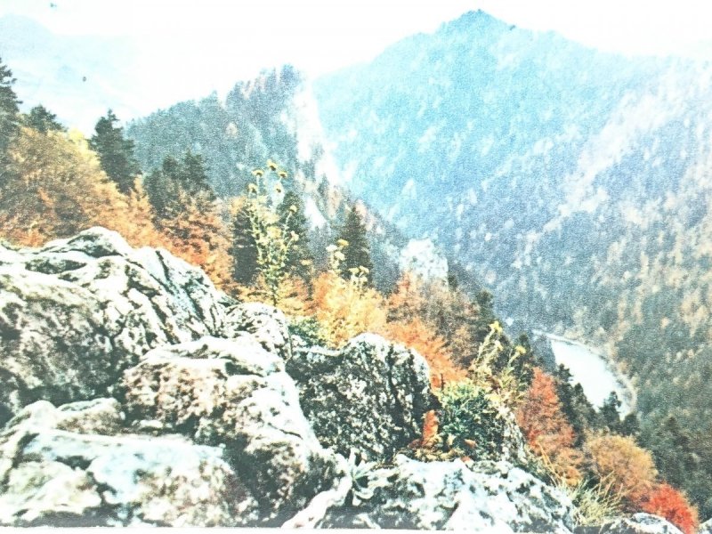 PIENINY. SOKOLICA 747m #02