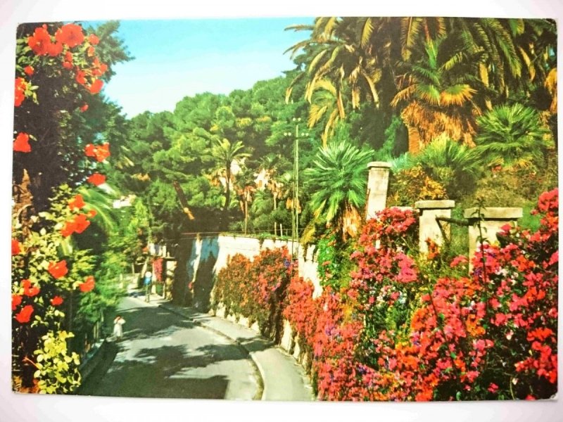 RIVIERA DEI FIORI. BORDIGHERA VIA ROMANA