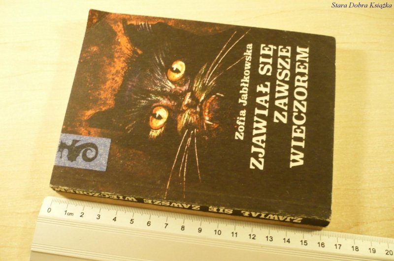 ZJAWIAŁ SIĘ ZAWSZE WIECZOREM - Jabłkowska (1987)