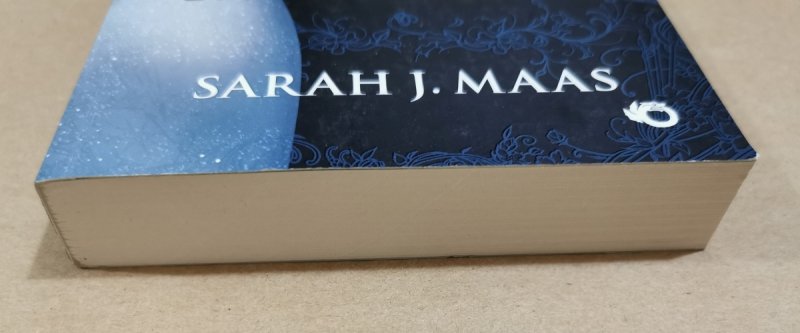 DWÓR SZRONU I BLASKU GWIAZD - Sarah J. Maas