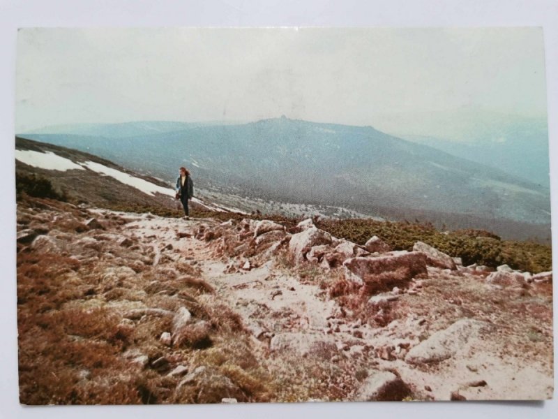 KARKONOSZE. ZBOCZE ŁABSKIEGO SZCZYTU FOT. KORPAL