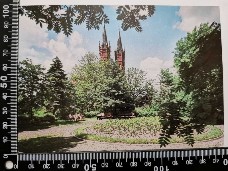 TARNÓW. PLANTY