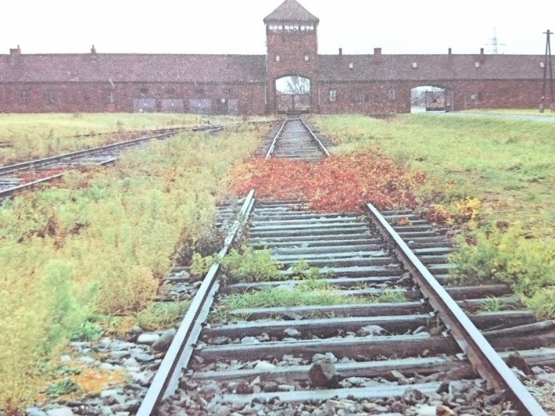 PAŃSTWOWE MUZEUM OŚWIĘCIM-BRZEZINKA FOT. ZIELIŃSKI