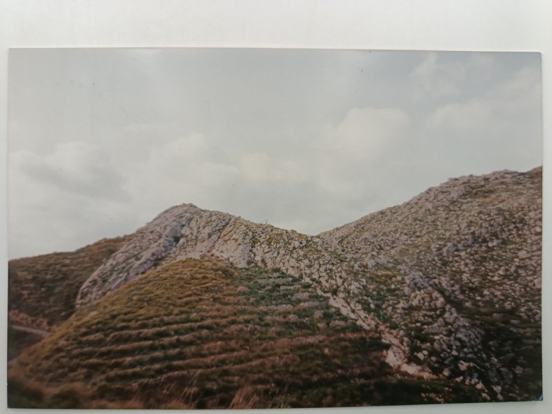 TAORMIHIA MONTE VEHERE