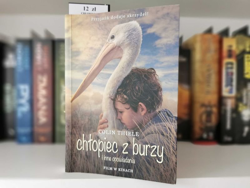 Chłopiec z burzy - Colin Thiele