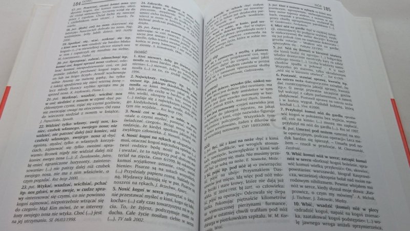 SŁOWNIK FRAZEOLOGICZNY - A. Kubiak-Sokół 2007