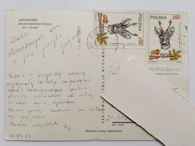 KARKONOSZE. ZBOCZE ŁABSKIEGO SZCZYTU FOT. KORPAL